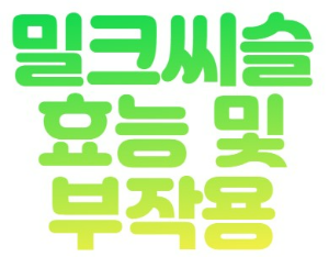 밀크씨슬
효능 및 
부작용