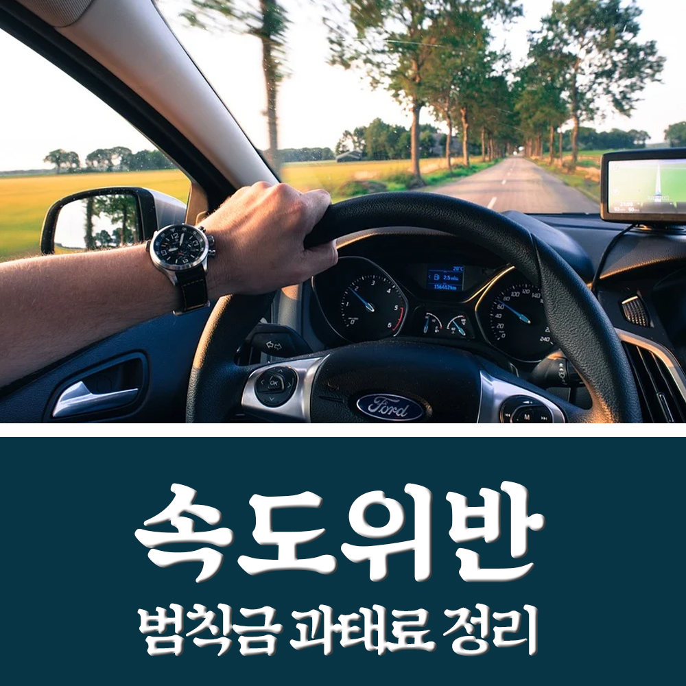  속도위반 단속기준 범칙금 과태료 정리! 조회 방법 (사전납부)