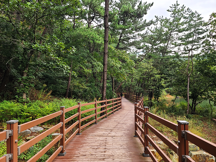 충남 걷기 좋은 숲길 국내여행 걷기 좋은 길, 46