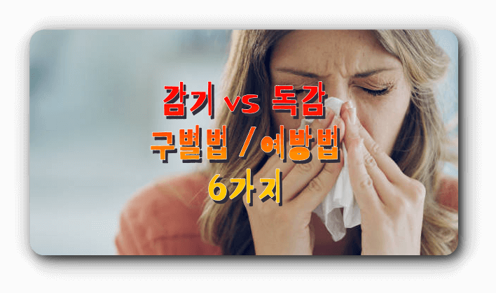  감기 독감 구별 방법 4가지 / 감기독감 안걸리는 치료방법 6가지 경험 후기