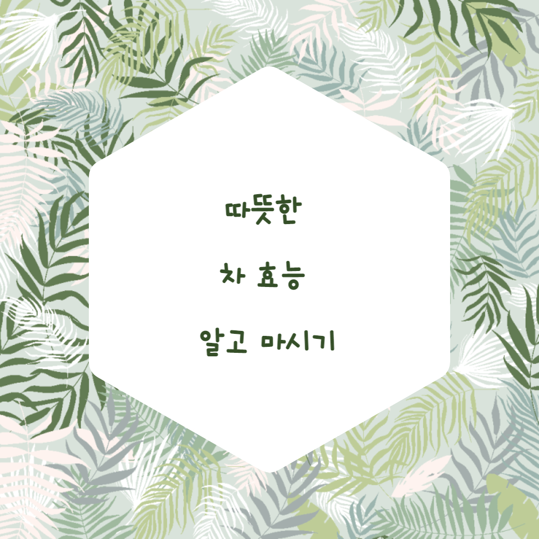  차 효능 알고 마시기
