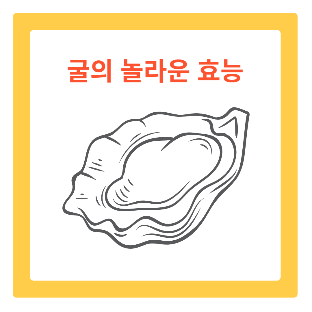  겨울철 슈퍼푸드, 굴의 놀라운 효능과 건강하게 즐기는 법