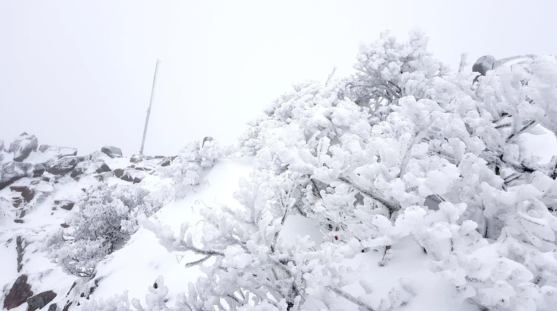 울산 가지산 설경