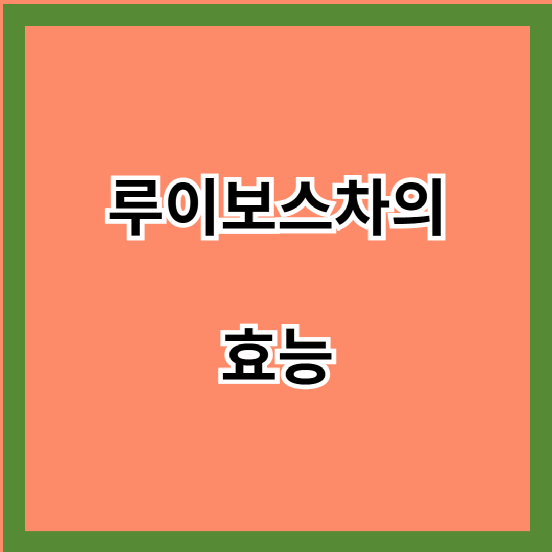  루이보스티 효능 - 건강에 미치는 영향