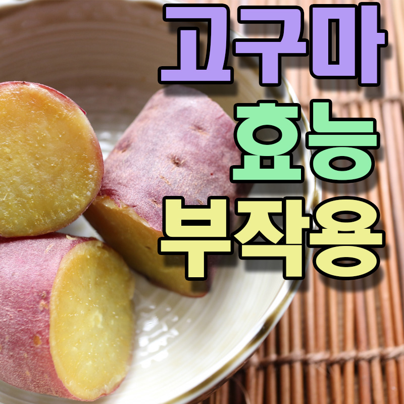 고구마 효능 부작용
