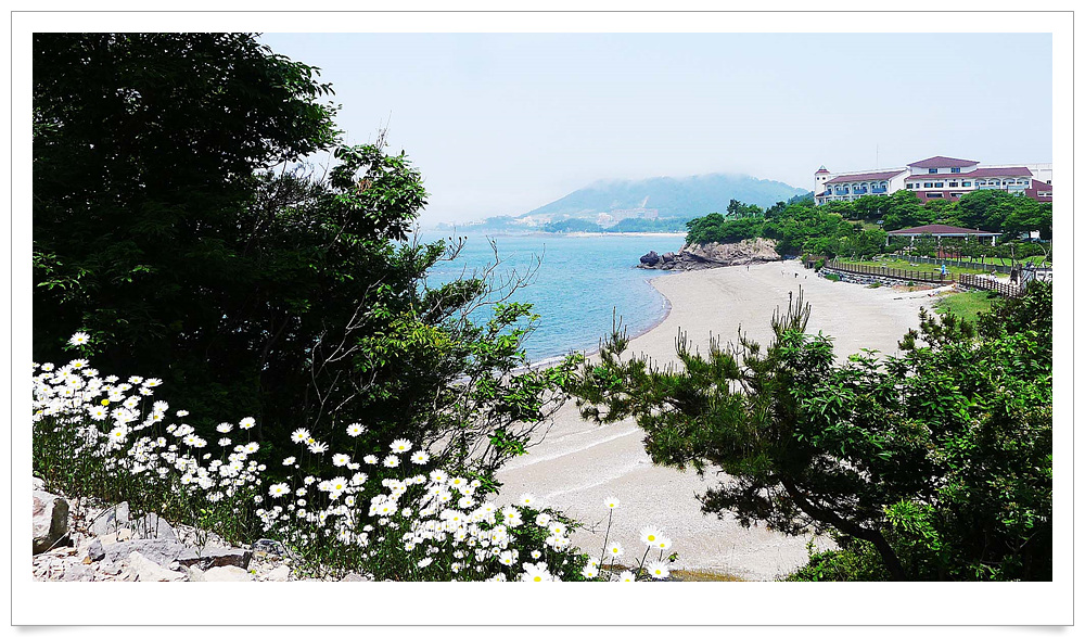 솔섬 이미지