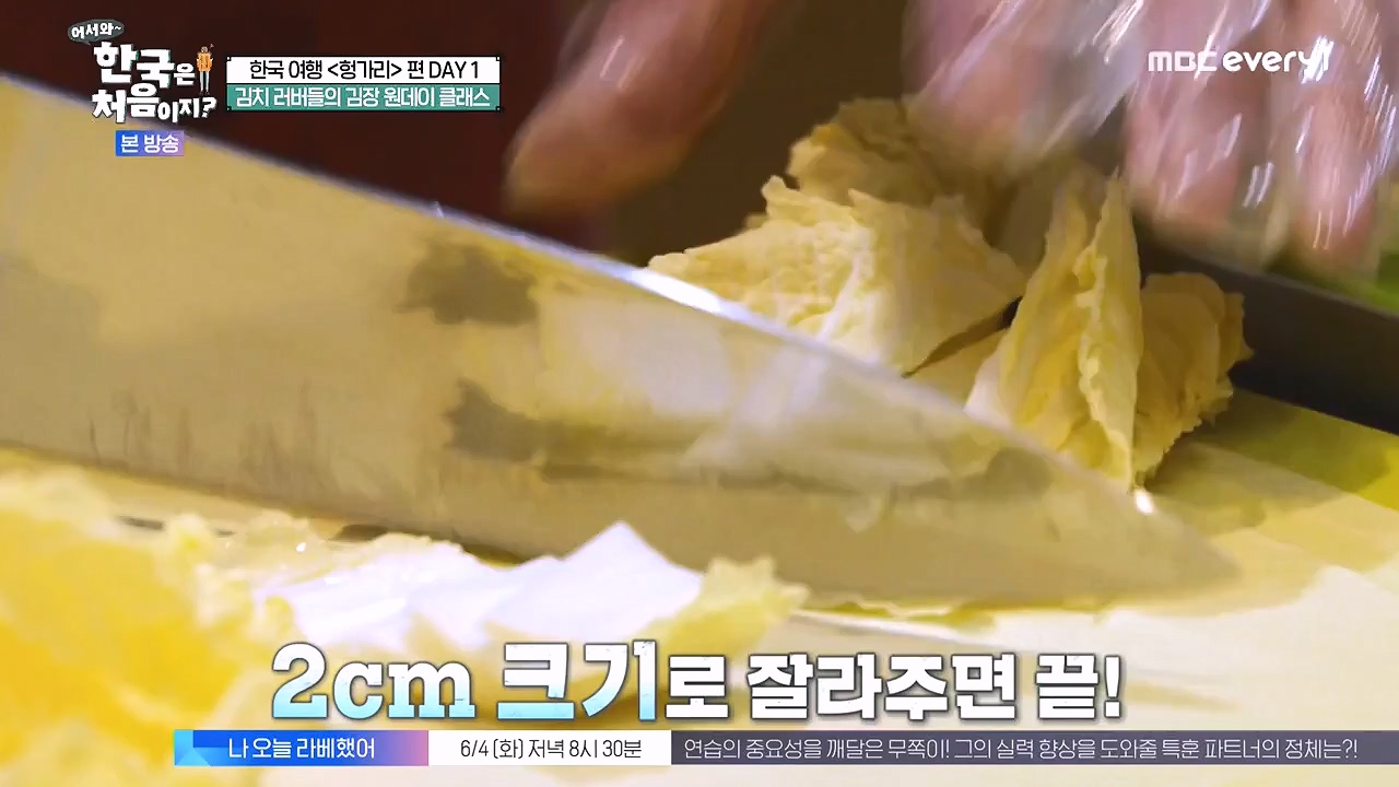 어서와 한국은 처음이지 시즌2.E316.240531p-NEXT.mp4_20240531_203927.761.jpg