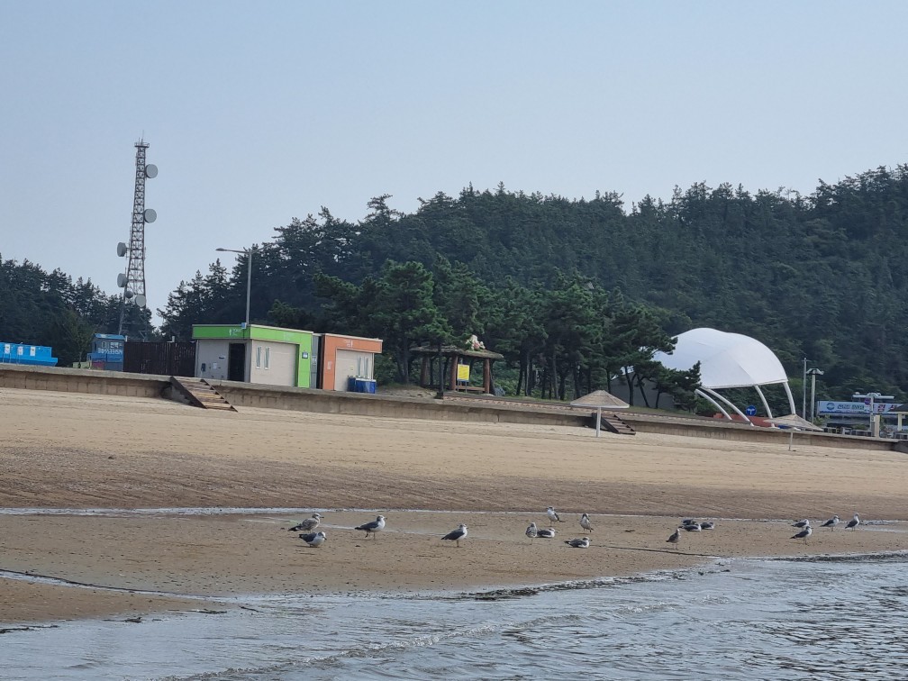 군산선유도