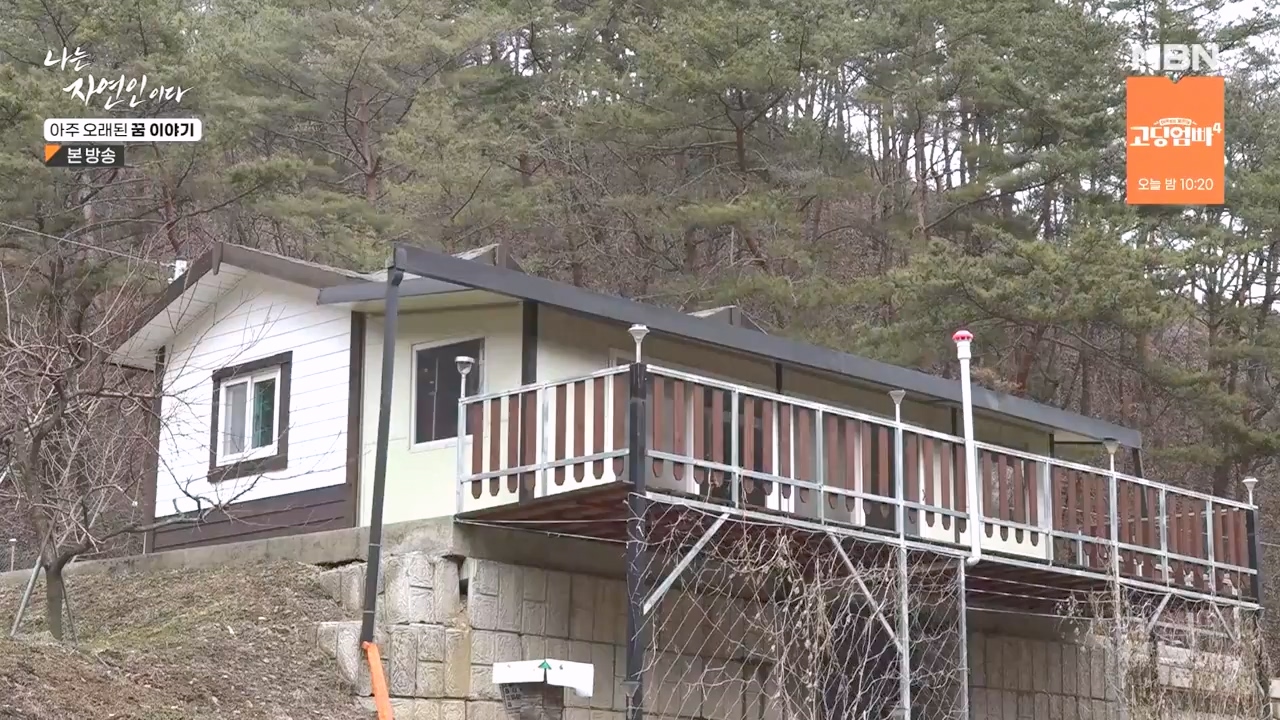 나는 자연인이다.E594.240222p-NEXT.mp4_20240222_195339.303.jpg