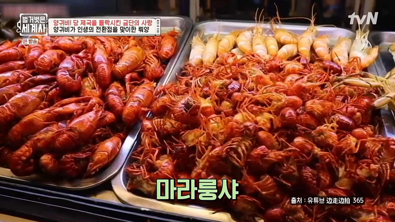 벌거벗은 세계사.E83.230125p-NEXT.mp4_20230303_204817.085.jpg