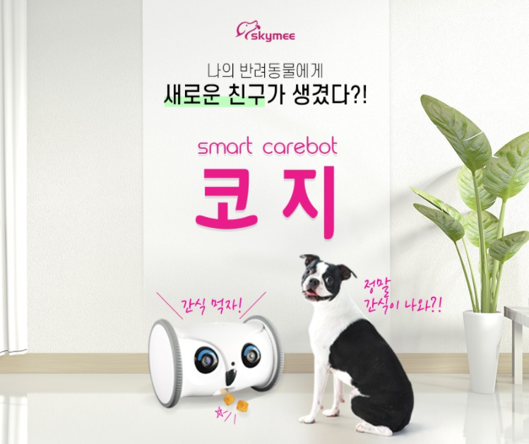  스마트케어봇 코지에 대해 알아보겠습니다!!