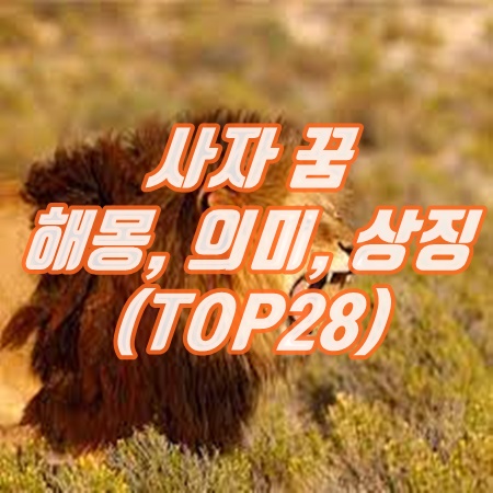  사자 꿈 해몽, 의미, 상징 (새끼, 흰, 아기 등등) TOP28