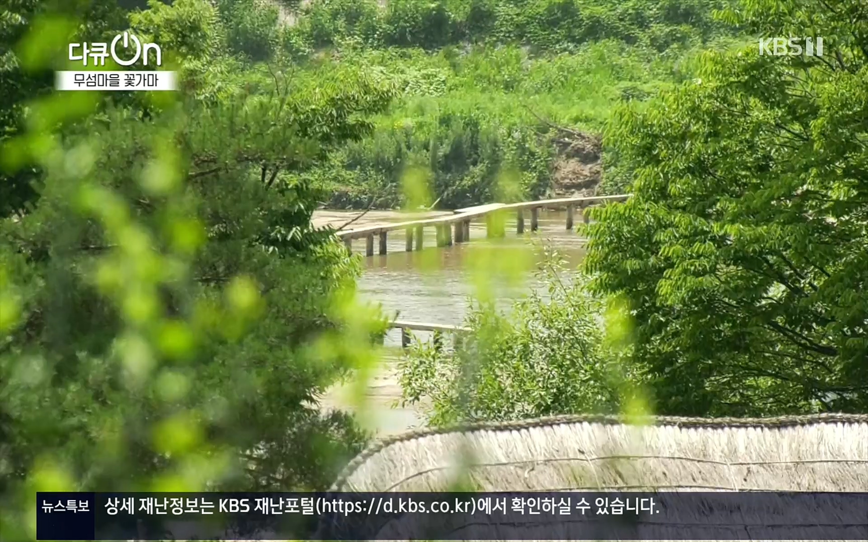 다큐 On.E156.220909p.H264-F1RST.mp4_20220910_192940.513.jpg
