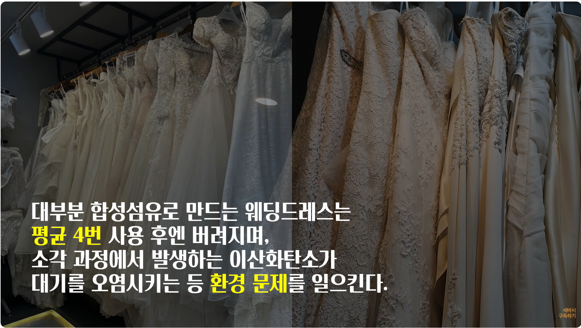 코햄체 이미지