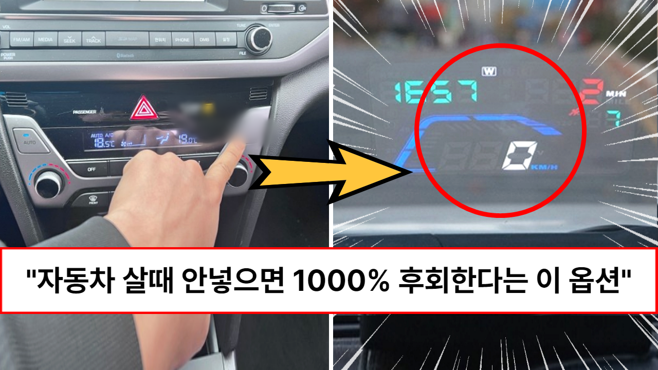 “무조건 1000% 후회합니다” 차살때 넣지 않아서 땅치고 후회한다는 선호도가 가장 높은 자동차 옵션