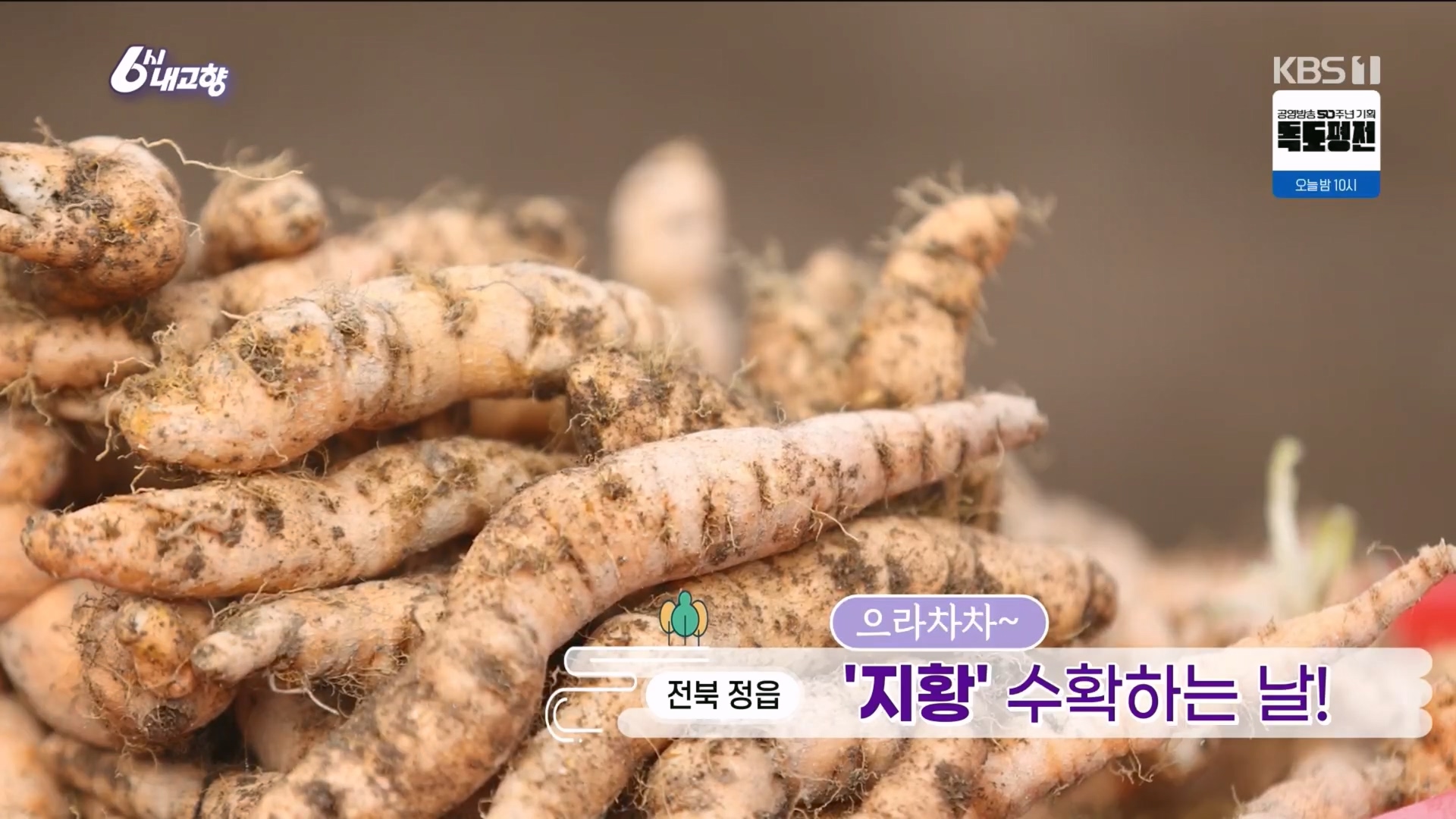 6시 내고향.E7929.231207p.H264-F1RST.mp4_20231208_192840.312.jpg
