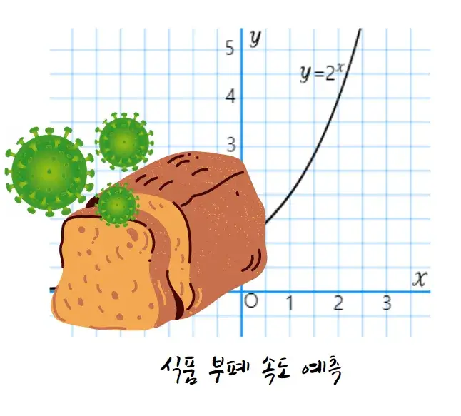 식품-부폐-속도-함수-실생활-활용-사례