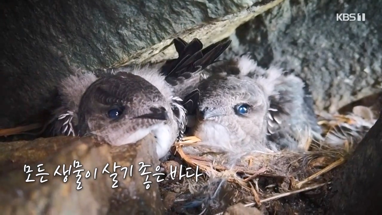 다큐 온.E206.230723p-NEXT.mp4_20230724_212002.212.jpg