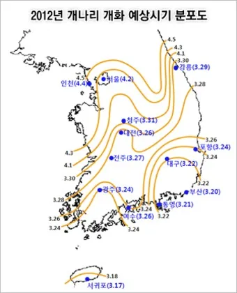 개나리 개화시기 2025 서울 경기 강원 전남 경북 제주_8