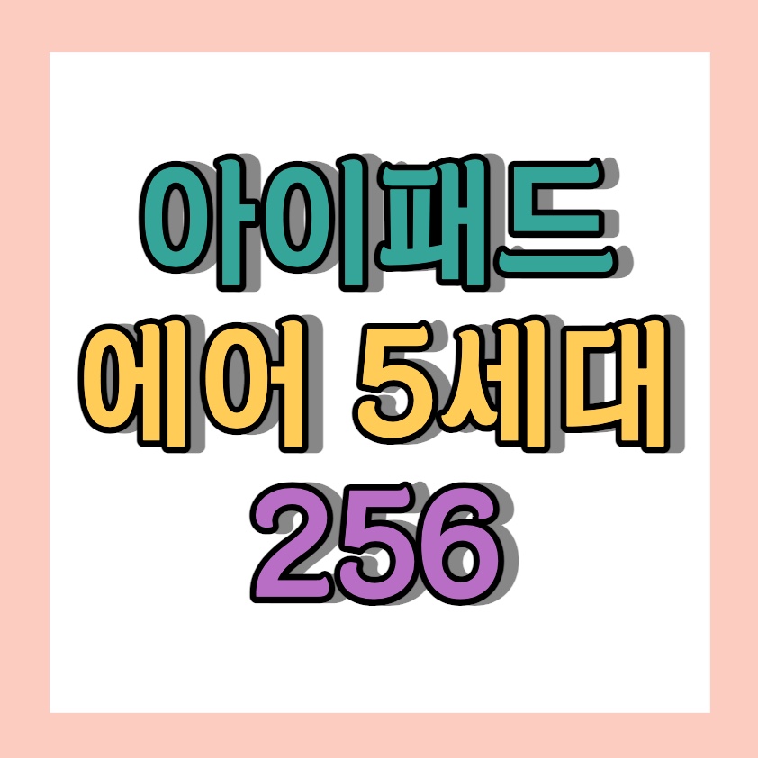 아이패드 에어 5세대 256