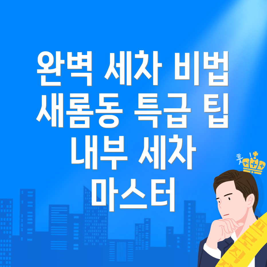 세종시 새롬동 내부세차