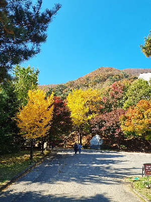 안성 미리내 성지