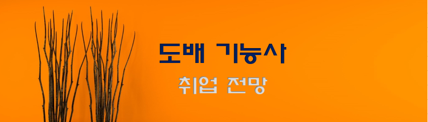  도배기능사 전망과 취업