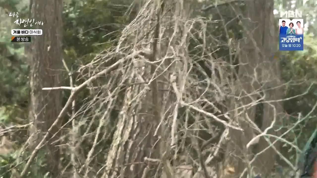 나는 자연인이다.E584.231214p-NEXT.mp4_20231214_194906.752.jpg