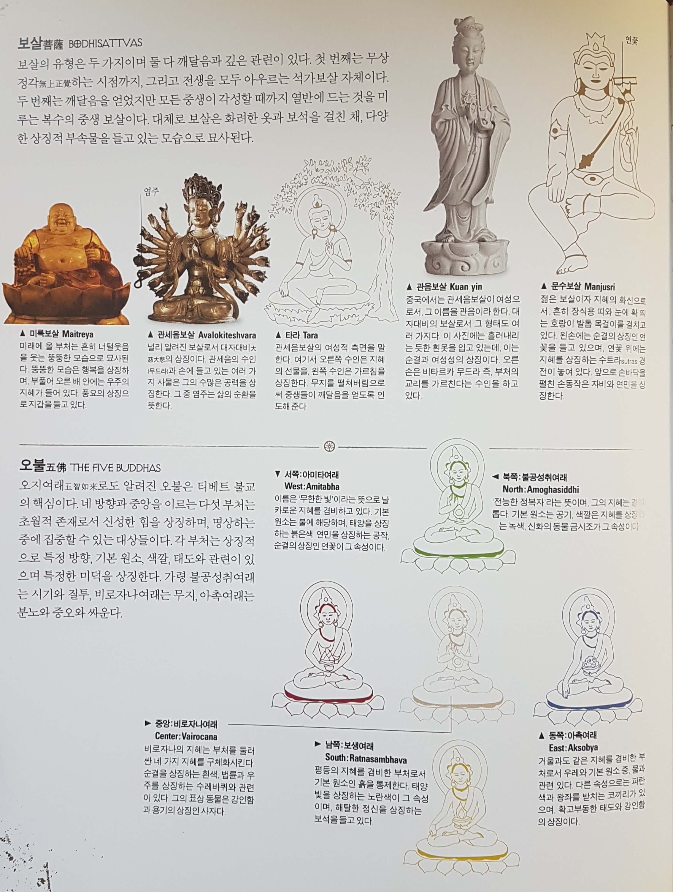 불교의 보살