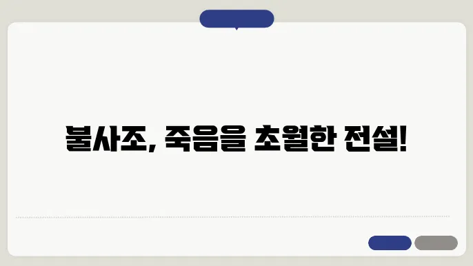 신화 속 불사조의 이미지