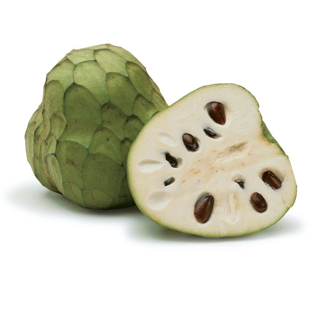  체리모야 Cherimoya 에 대해서 알아볼게요.