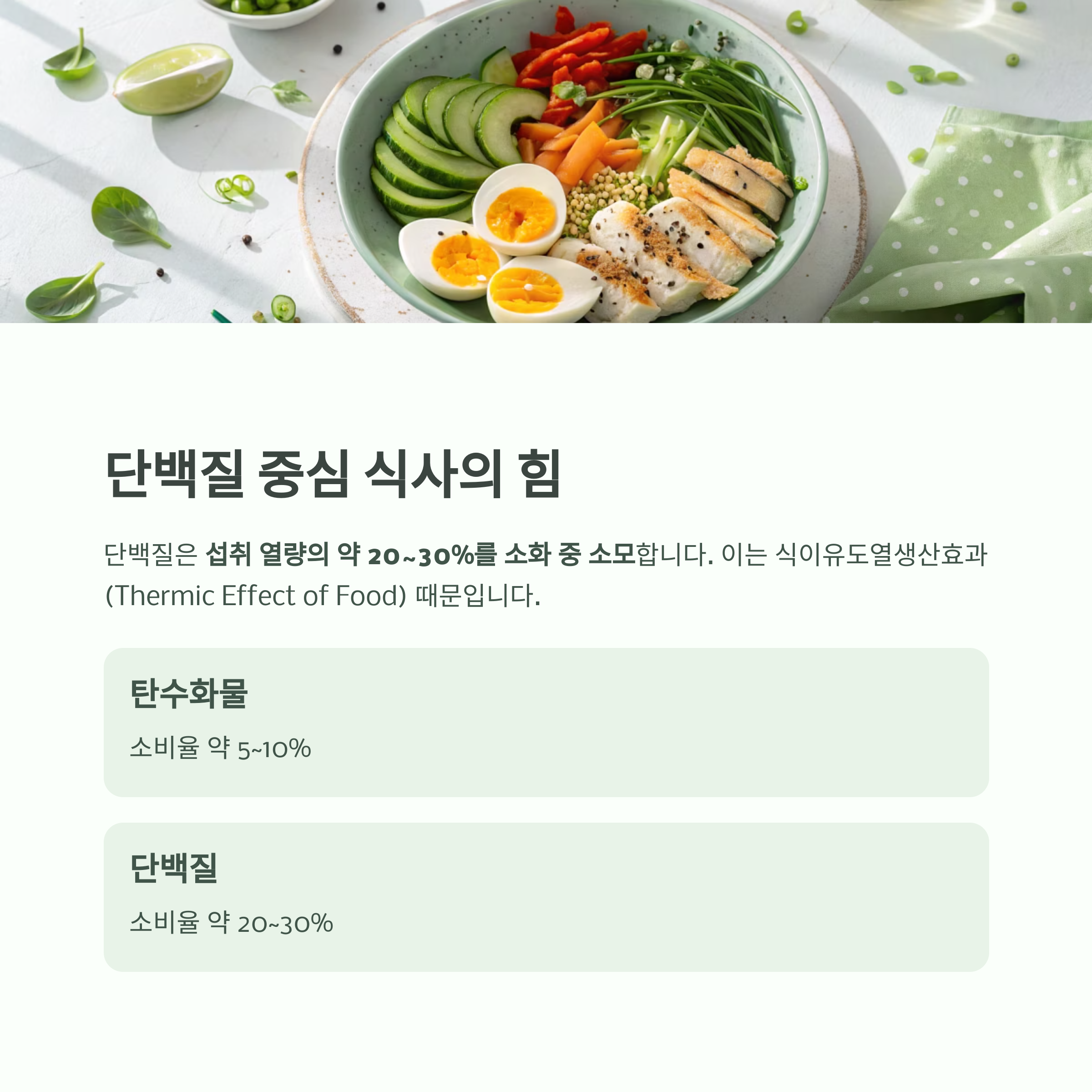 하루 200칼로리 더 태우는 비밀, 기초대사량 높이는 일상 습관 - 무리한 운동 없이도 가능한가요? 기초대사량은 일상 습관이 좌우합니다 - 단백질 중심 식사로 소화열 효과 활용하기 하루 200칼로리 더 태우는 비밀, 기초대사량 높이는 일상 습관 - 무리한 운동 없이도 가능한가요? 기초대사량은 일상 습관이 좌우합니다 - 단백질 중심 식사로 소화열 효과 활용하기