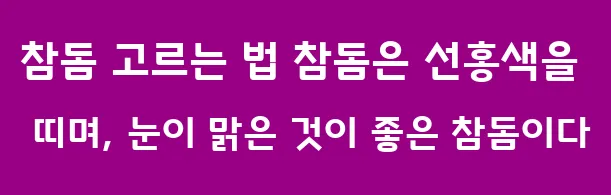 참돔 고르는 법 참돔은 선홍색을 띠며, 눈이 맑은 것이 좋은 참돔이다