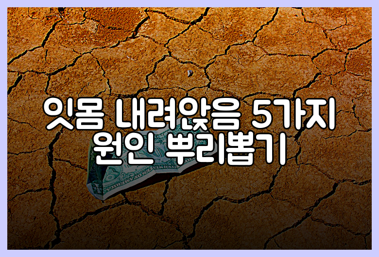 잇몸 내려앉음 5가지 원인 뿌리뽑기