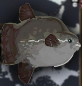  드레지(Dredge) 바다 개복치 위치