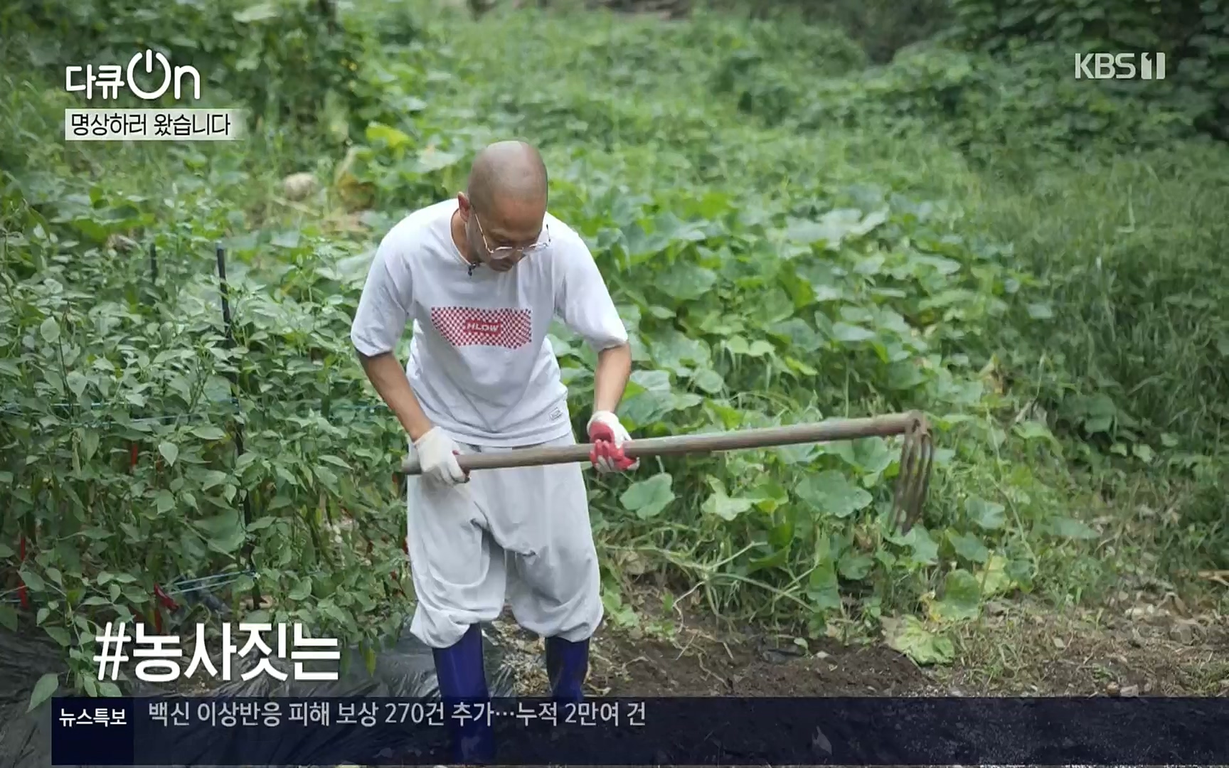 다큐 On.E157.220916p.H264-F1RST.mp4_20220917_184346.288.jpg