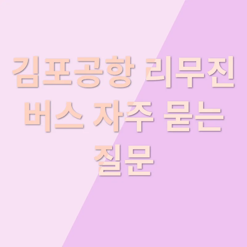 김포공항 리무진 버스_4