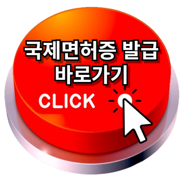 국제면허증 발급 방법 완벽정리