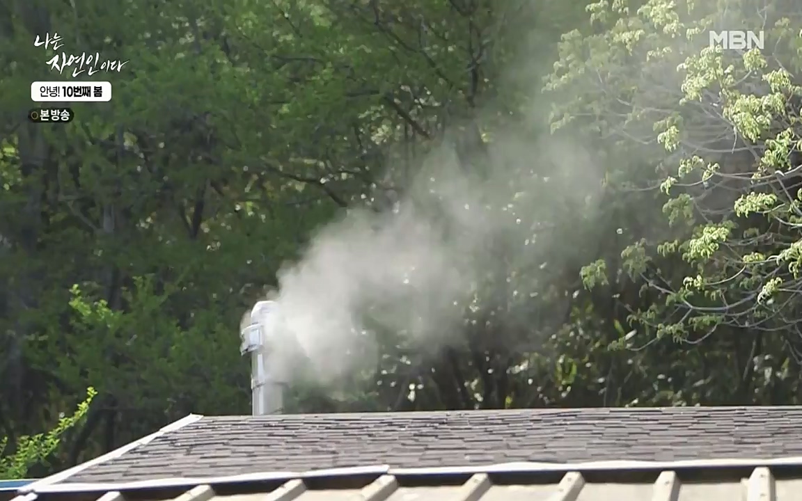 나는 자연인이다.E500.220505p-NEXT.mp4_20220505_180222.710.jpg