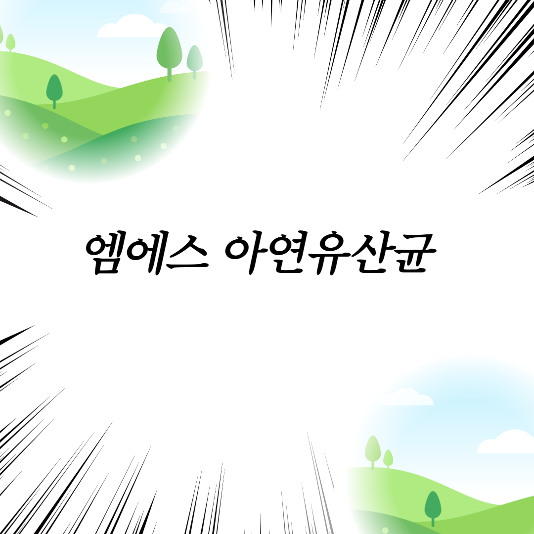  엠에스 아연유산균