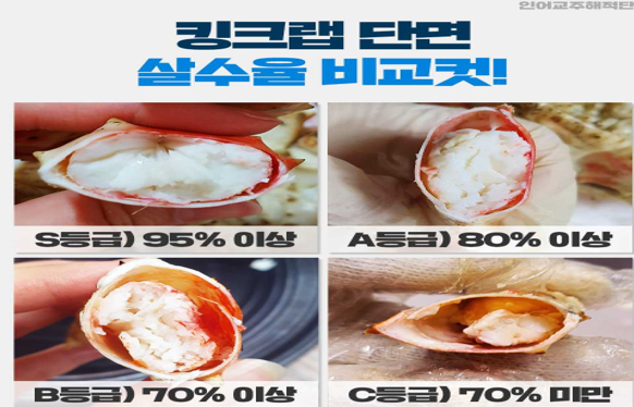 킹크랩 살 수율 (출처 인어교주해적단)