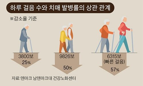 하루 걸음 수아 치매 발병률