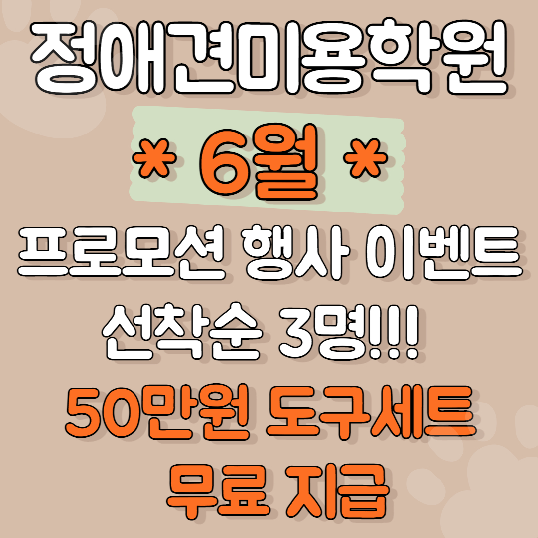 정애견미용학원 학원비용
