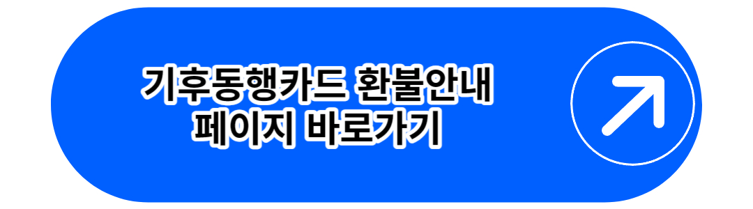 기후동행카드 환불안내
페이지 바로가기