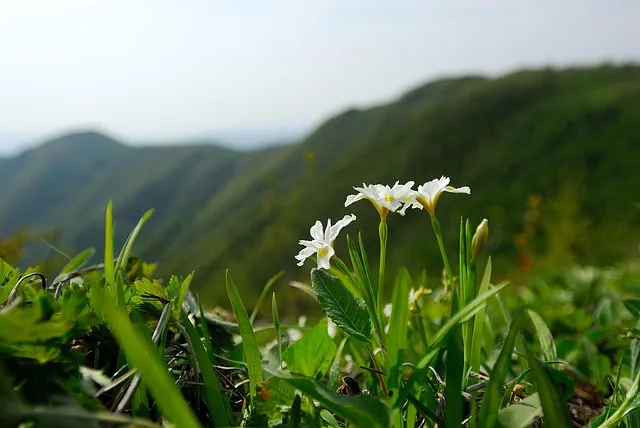 강원도 묵호 여행 묵호항 수산시장 등대 명소_7