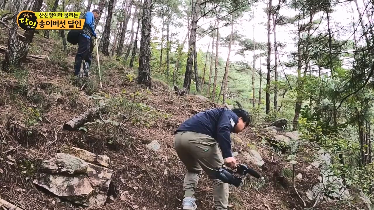 생활의 달인.E907.231010p-NEXT.mp4_20231010_203832.960.jpg