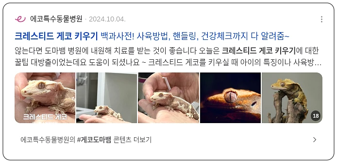 크레티드 게코 키우기_3_subsection