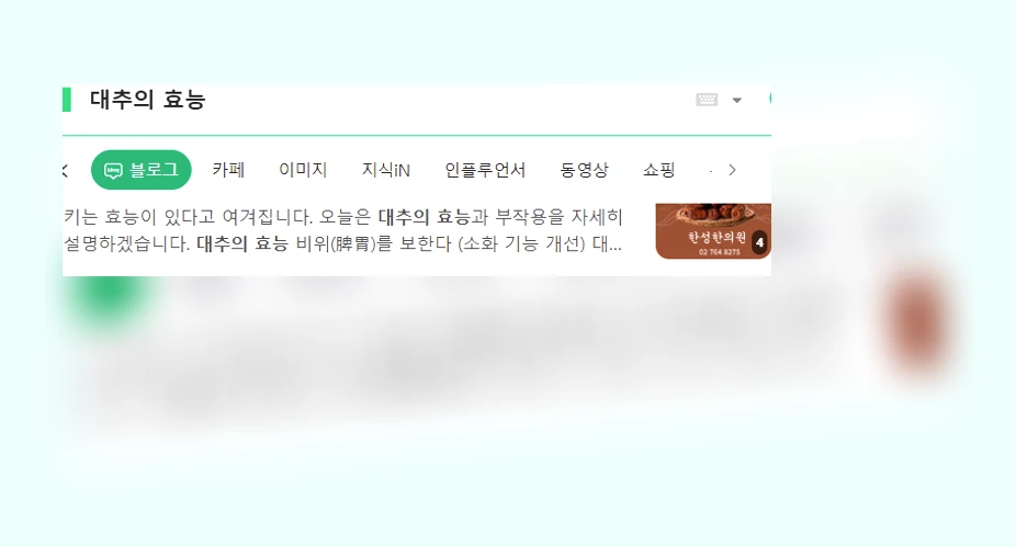 대추의 효능_5