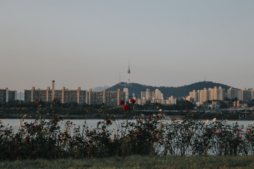 Pyeongchang