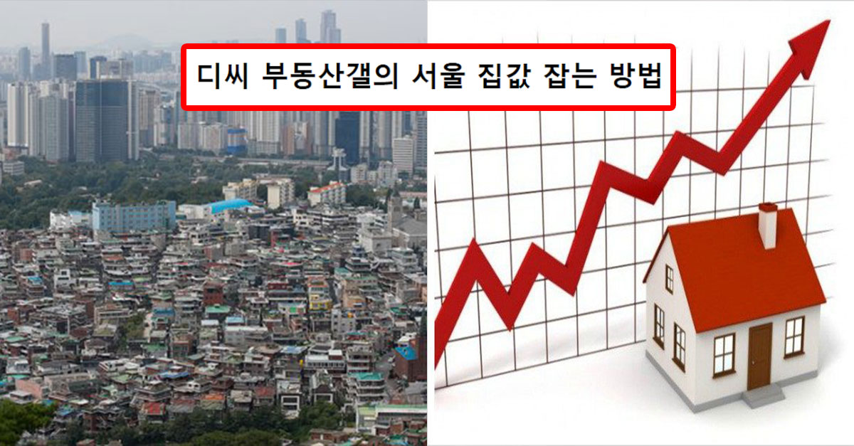  디씨 부동산갤의 저세상 서울 집값 잡는 방법